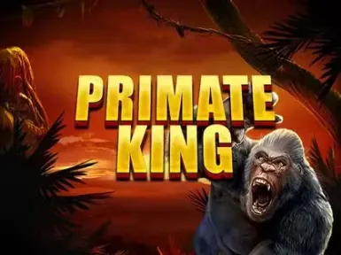Bruce Bet Casino screenshot